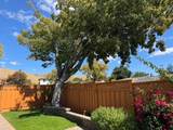 229 Spring Valley Ln - Photo 48