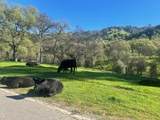 0 Moccasin Ranch Rd - Photo 3