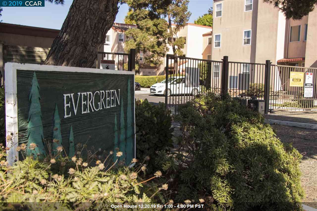 1000 Evergreen Terrace - Photo 1