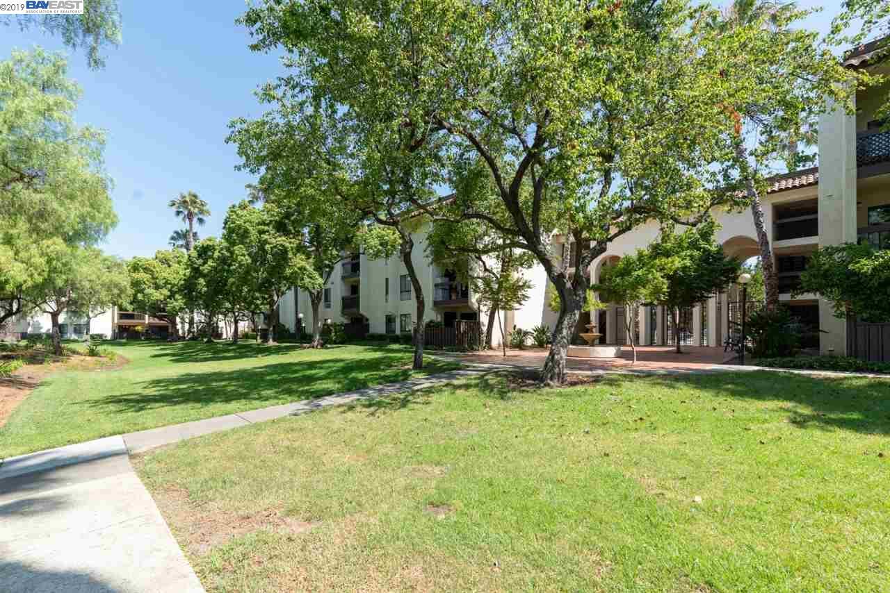 39931 Cedar Blvd - Photo 1
