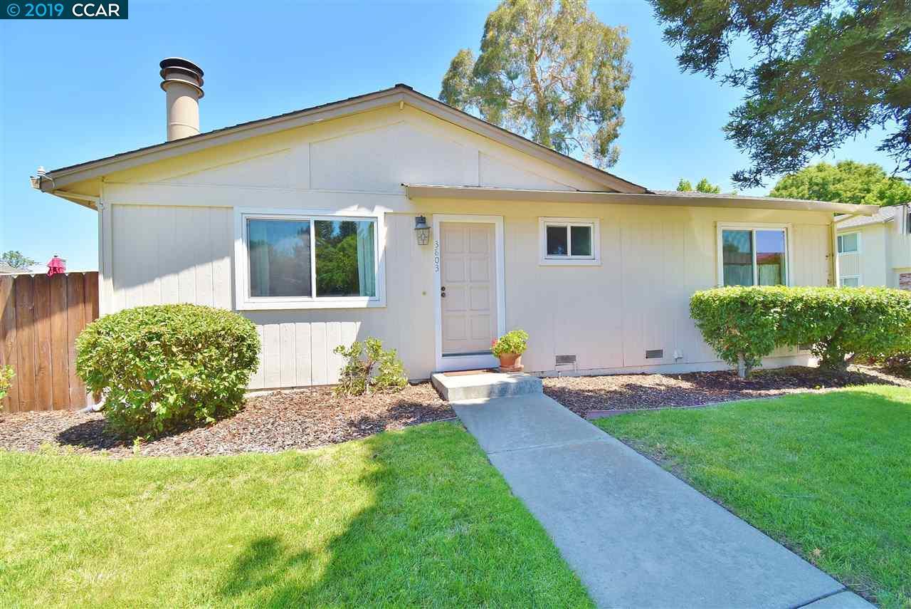 3803 Saratoga Way - Photo 1