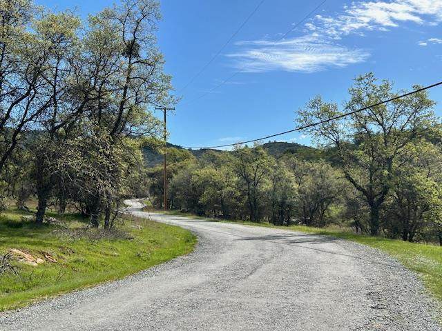 0 Moccasin Ranch Rd - Photo 1