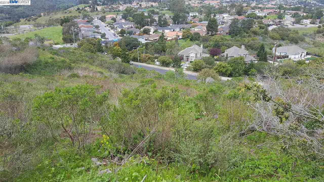 2996 Belmont Canyon Rd - Photo 1