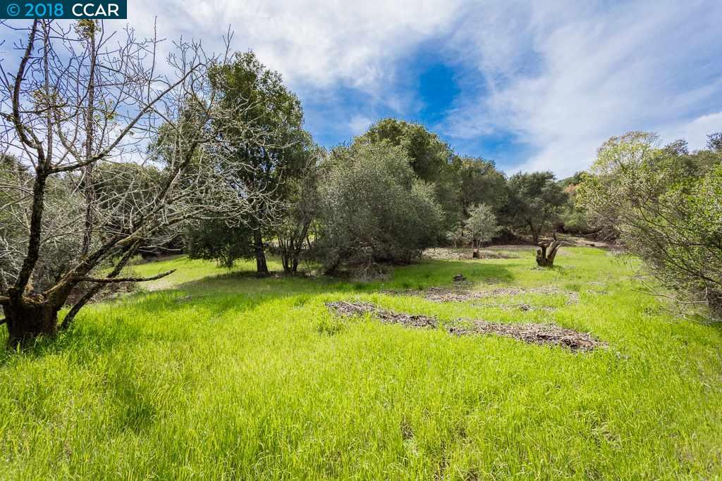 0 Adobe Lane - Photo 1