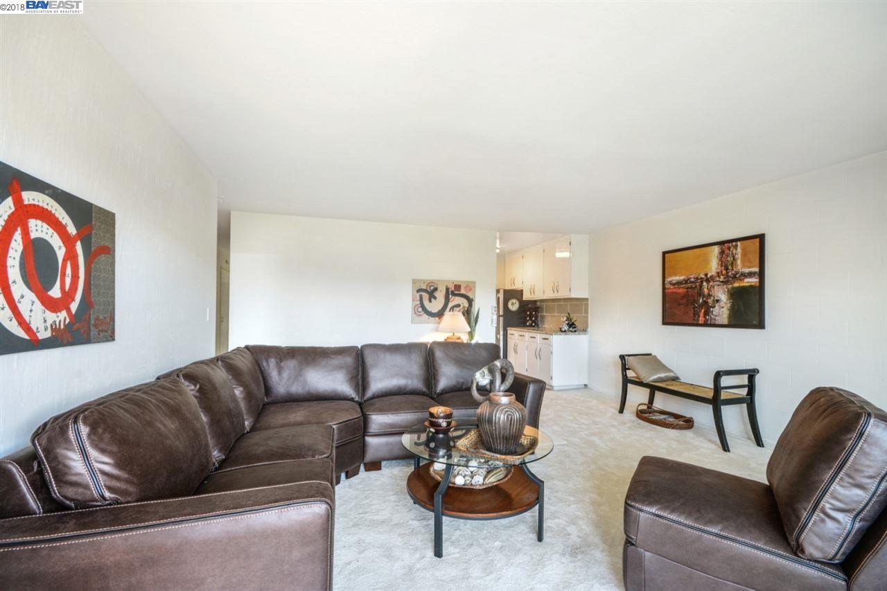 75 Zampa Ln - Photo 1