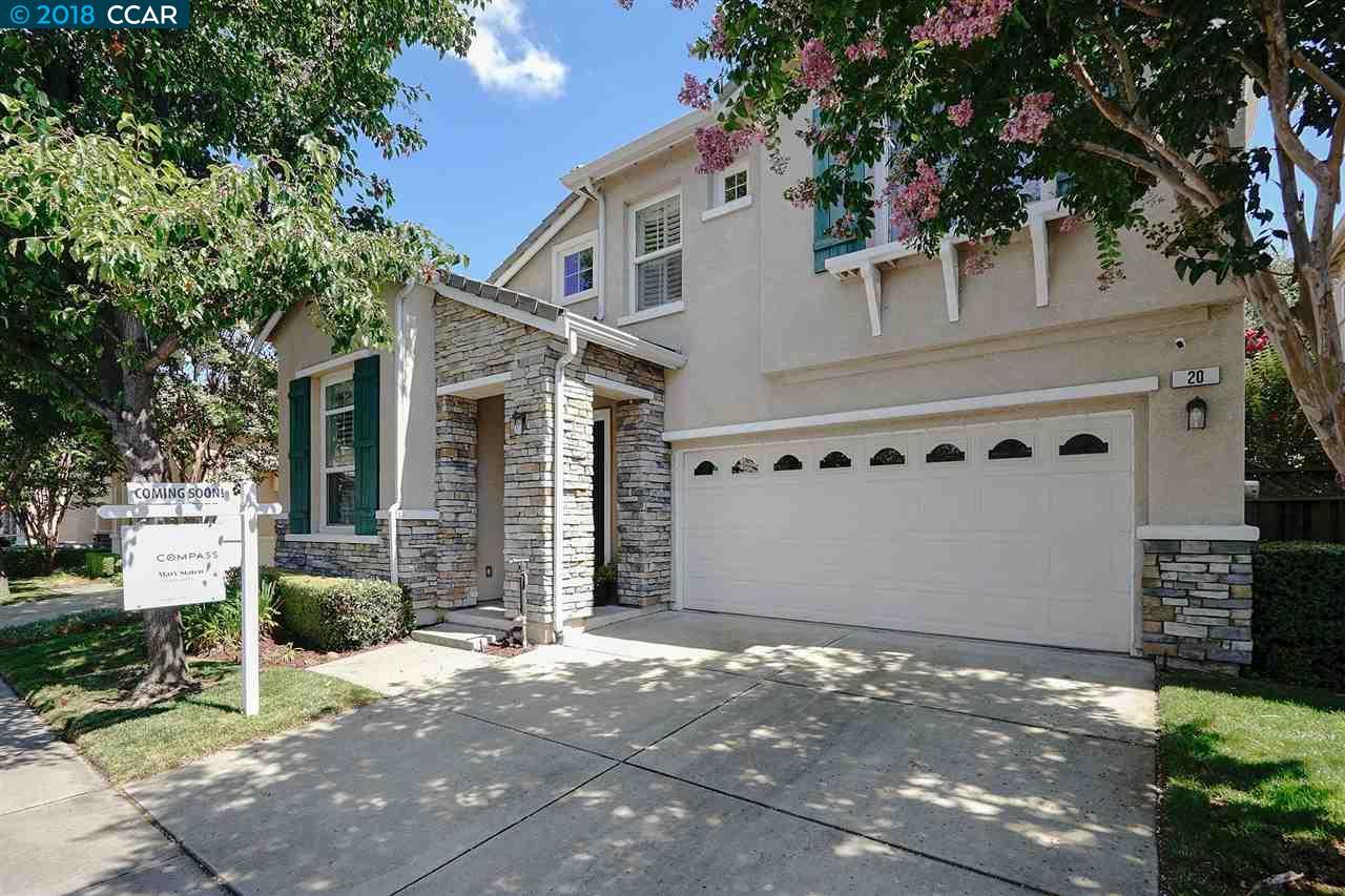 20 Terraced Hills Circle - Photo 1