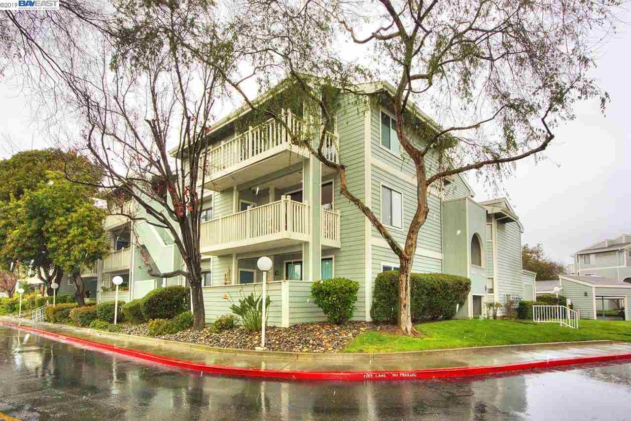 37248 Meadowbrook Cmn - Photo 1