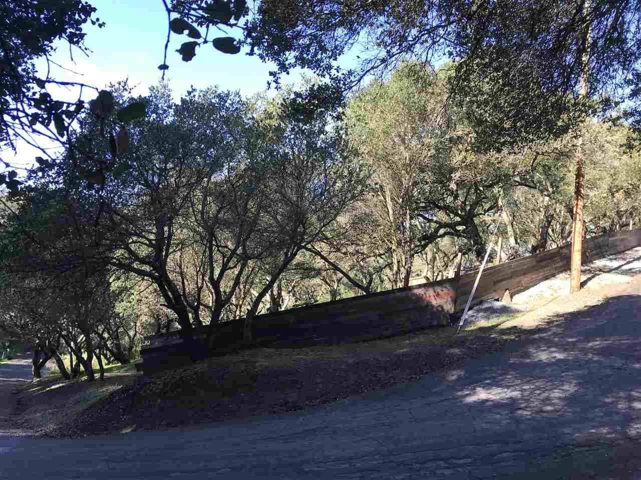0000 Skyline Dr - Photo 1