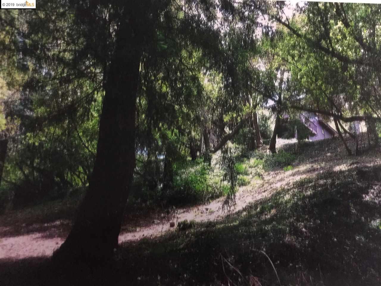 000 Mcbryde Ave - Photo 1