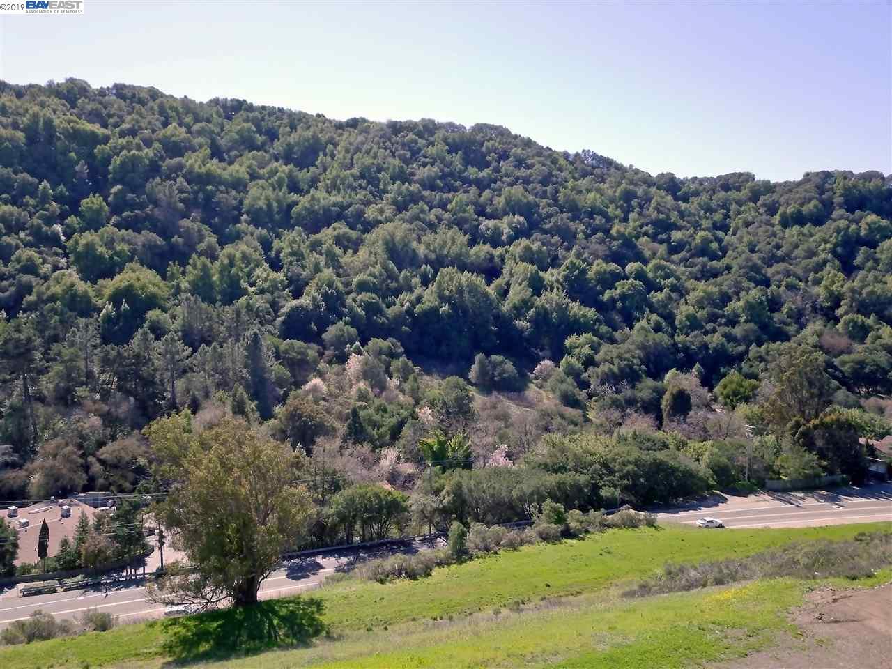 6037 Castro Valley Blvd - Photo 1