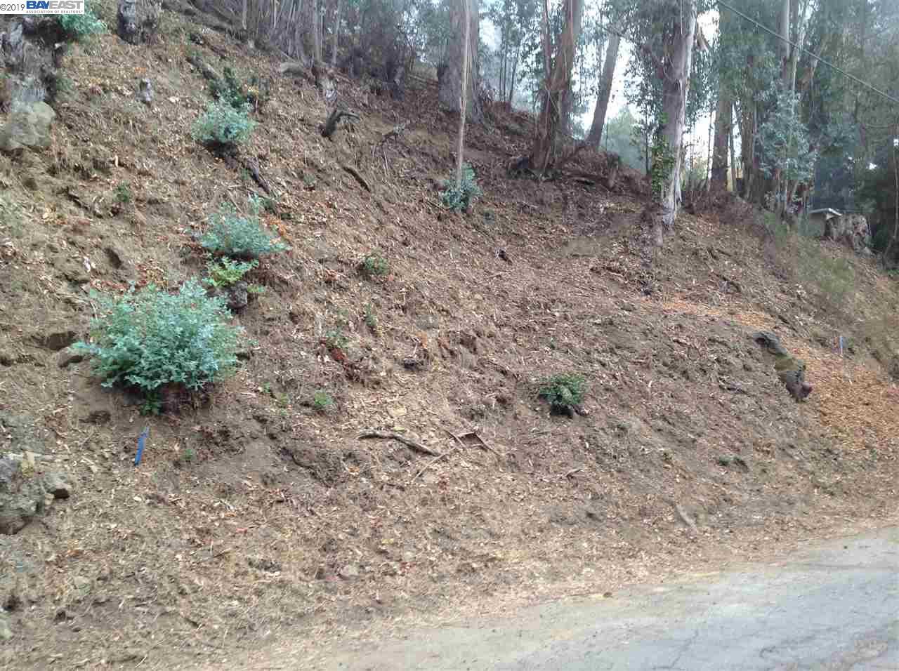 Capricorn Ave - Photo 1
