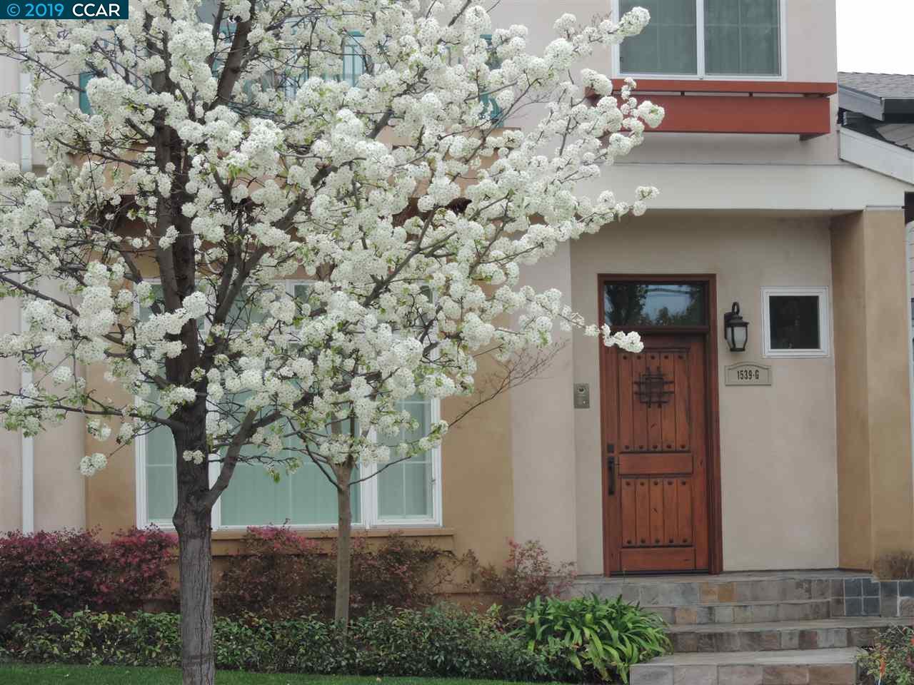 1539 Geary Rd. - Photo 1
