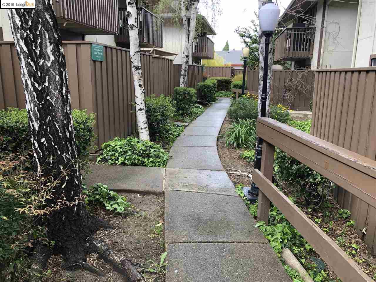 2410 Starlight Ln - Photo 1