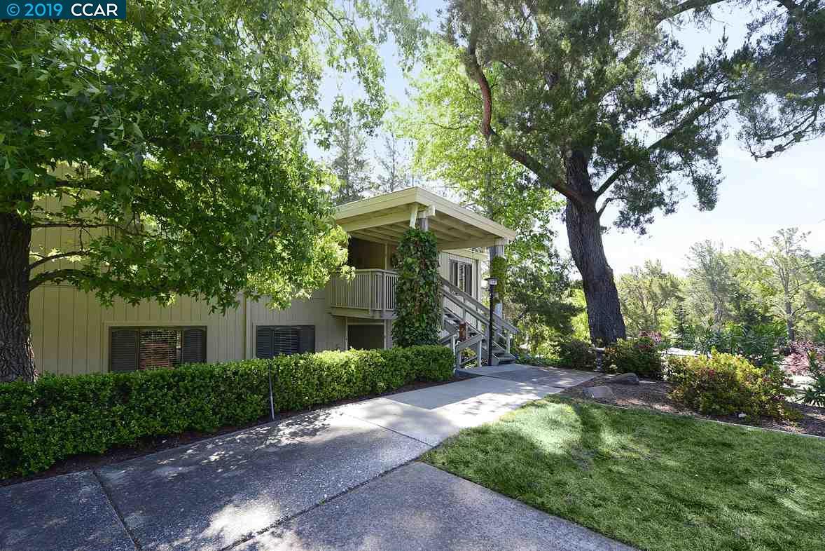 1217 Running Springs Rd - Photo 1