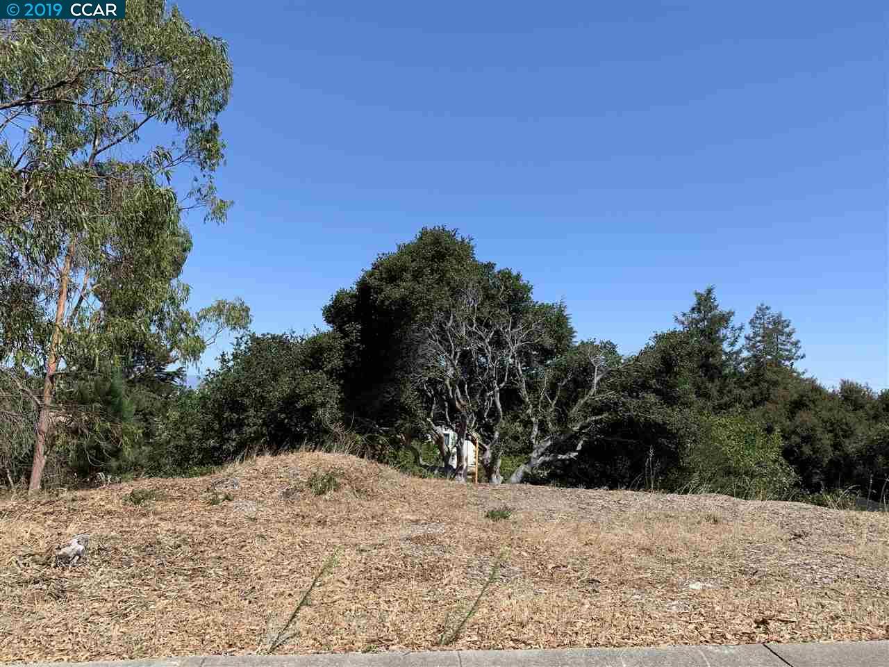 N Rancho Pl - Photo 1
