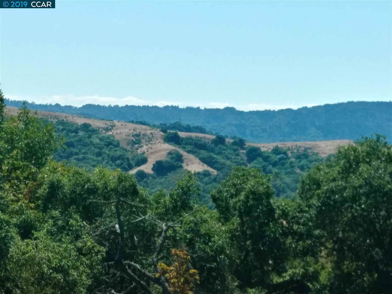 1233 Bollinger Canyon - Photo 1
