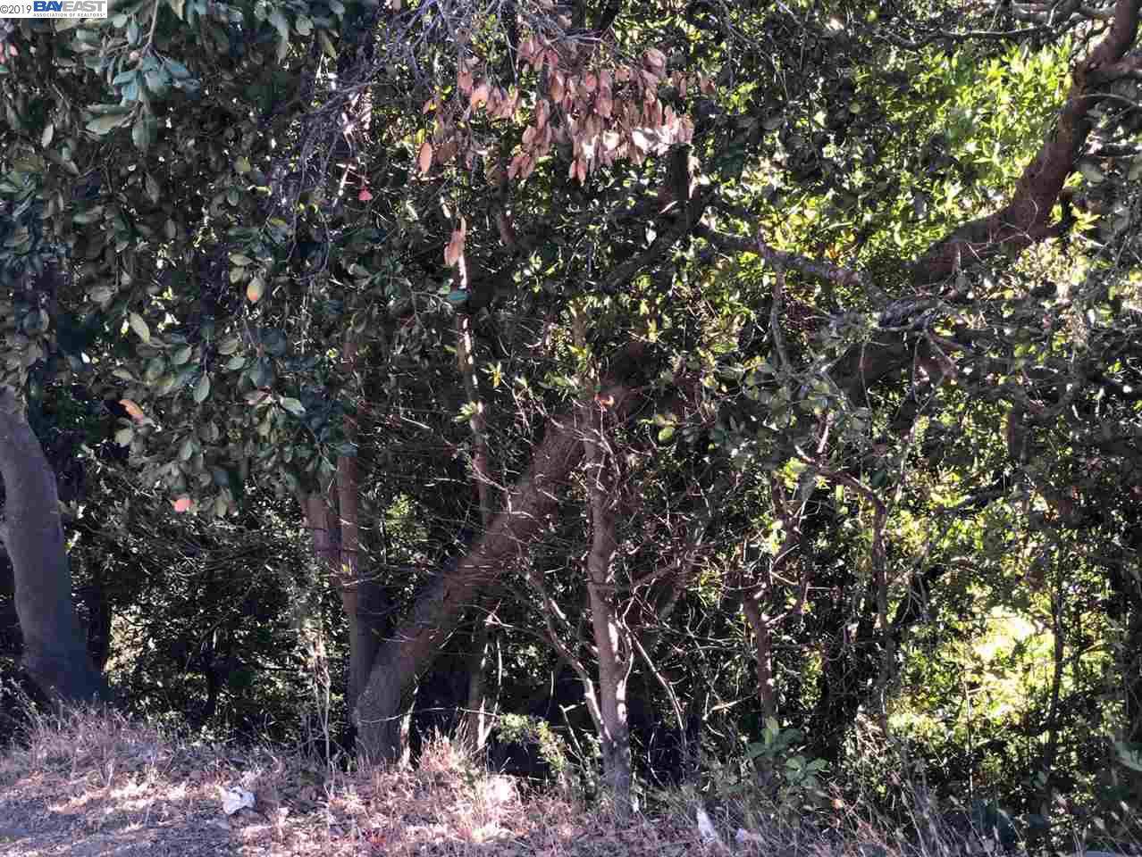 6037 Castro Valley Blvd - Photo 1