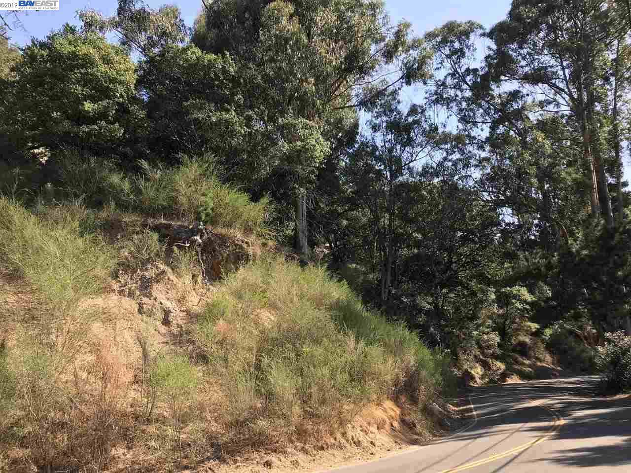 Skyline Blvd - Photo 1
