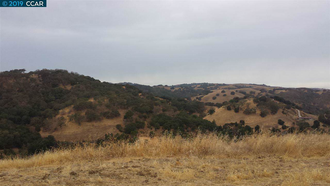 870 Vine Hill Way - Photo 1