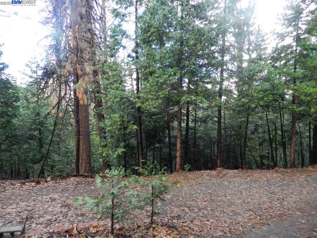 Lot211 Hitching Post Rd - Photo 1 Lot211 Hitching Post Rd - Photo 1
