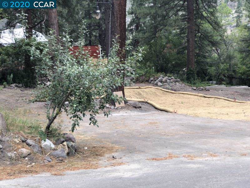 22207 Spruce Street - Photo 1