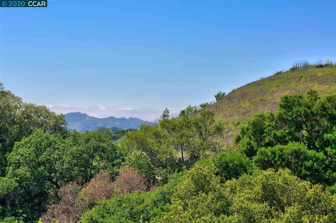 1267 Bollinger Cyn - Photo 1 1267 Bollinger Cyn - Photo 1