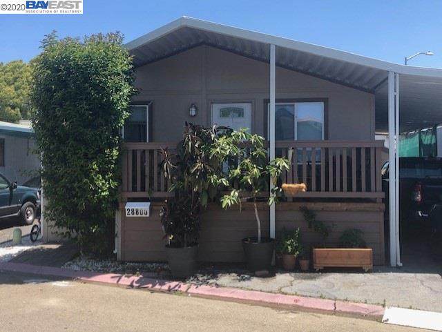 28800 Venus St - Photo 1