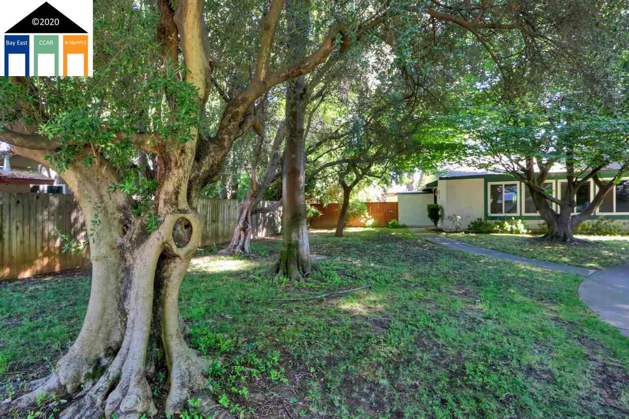 8915 Salmon Falls Drive - Photo 1