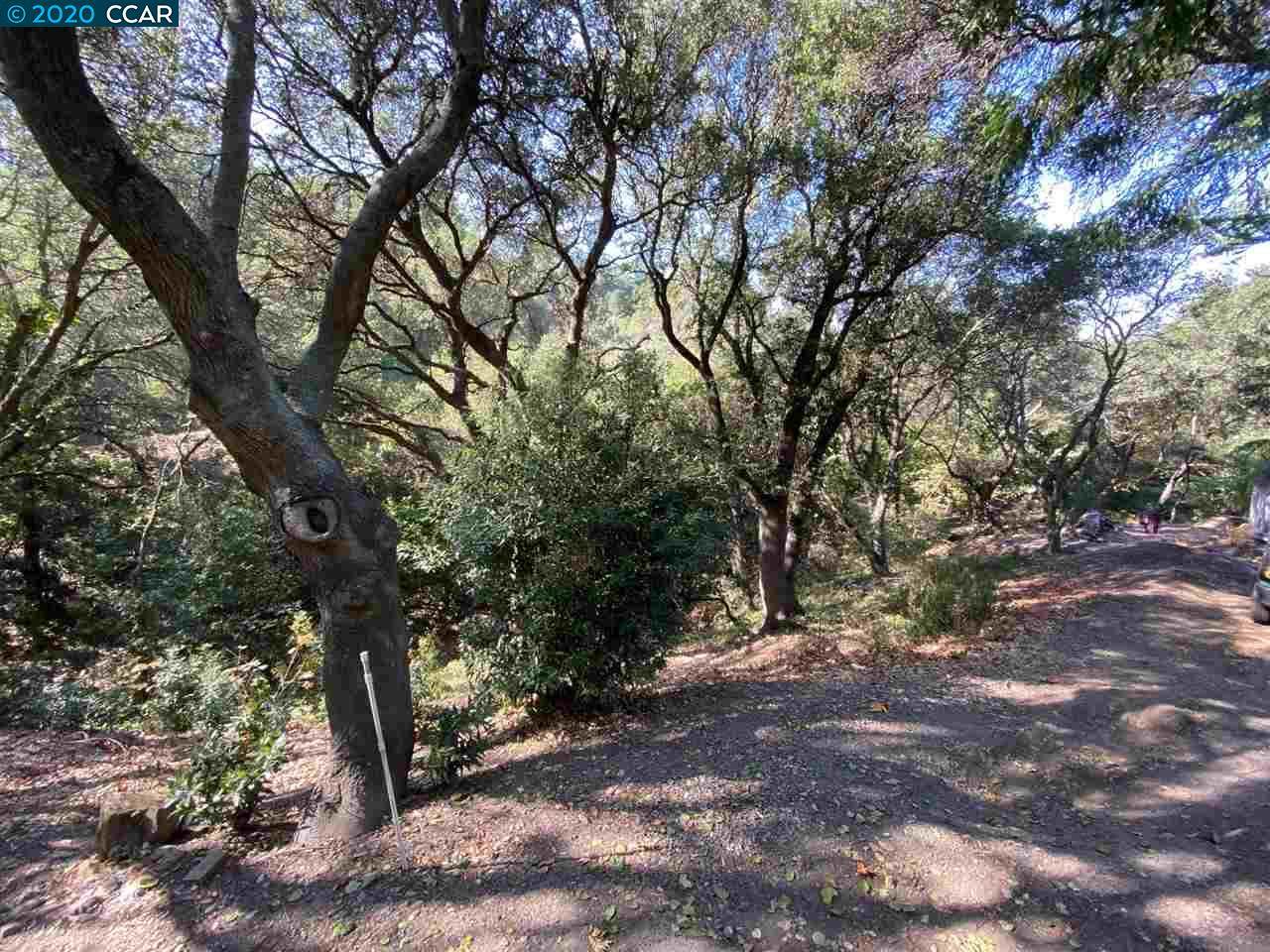 Camino Del Monte - Photo 1