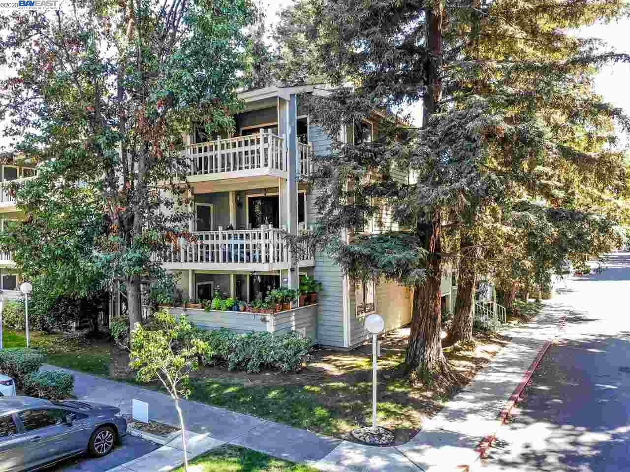 37050 Meadowbrook Cmn 104 - Photo 1