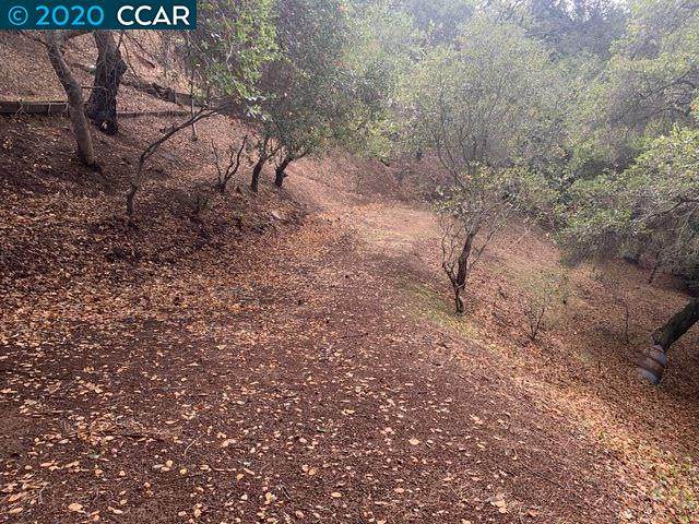 Mountain View Ave - Photo 1