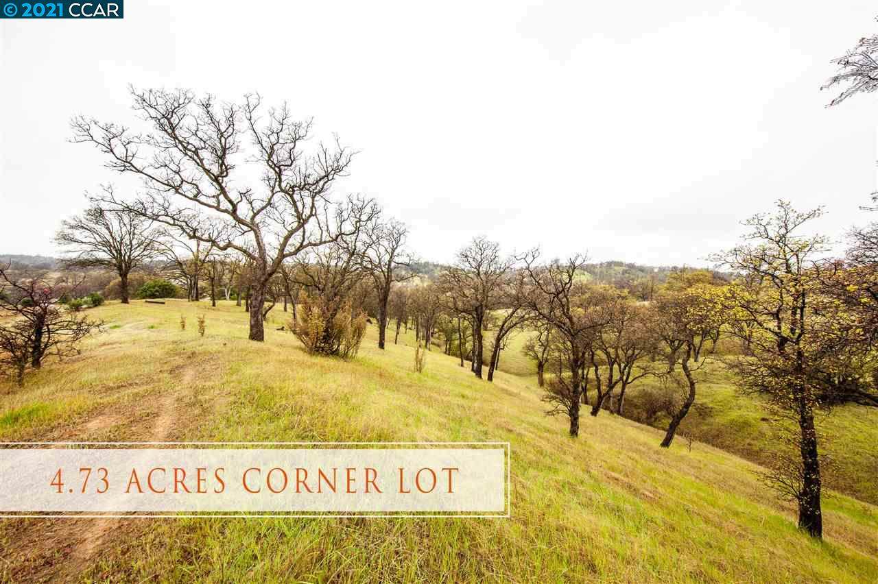 16555 Happy Valley Trl - Photo 1
