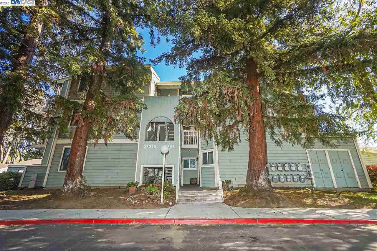 37050 Meadowbrook Cmn 104 - Photo 1