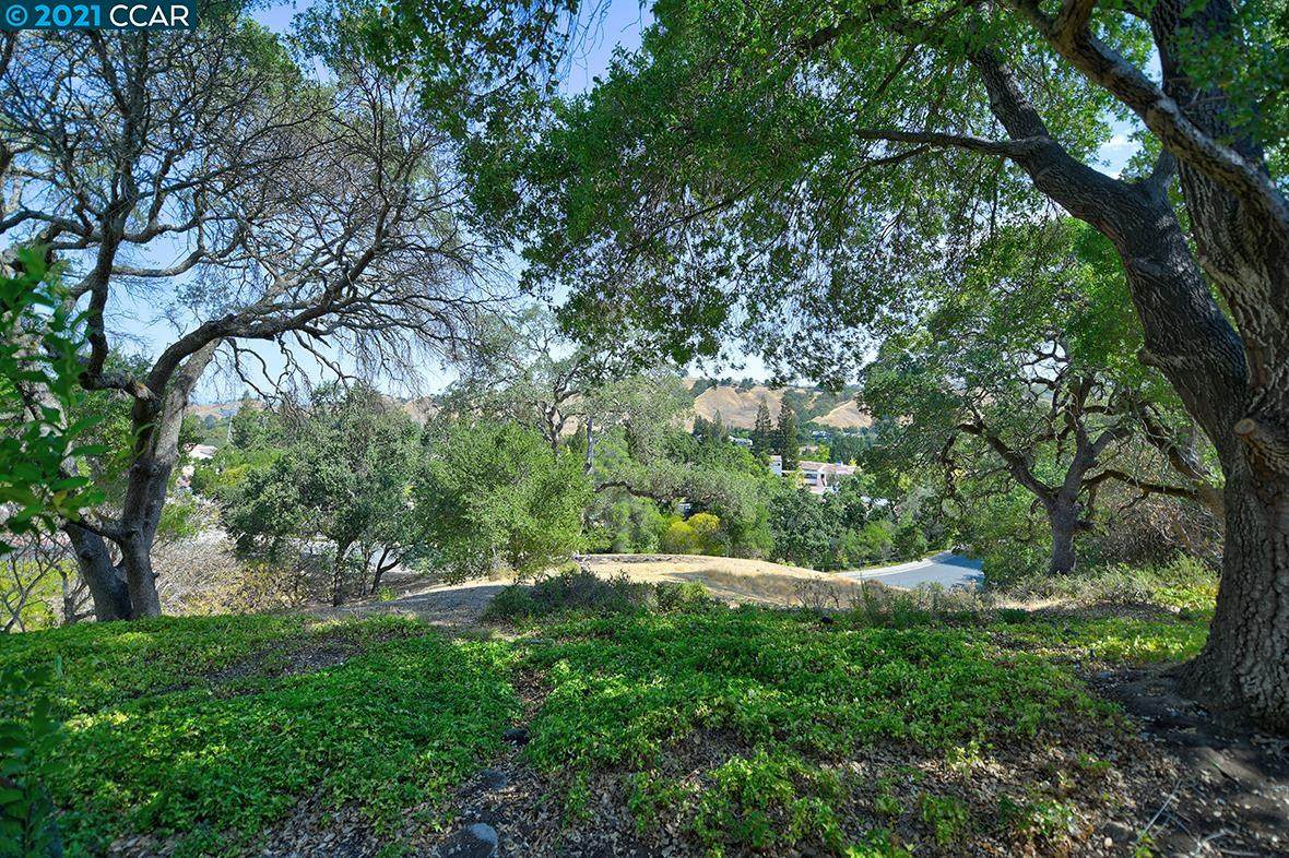 3747 Terra Granada Dr 1A - Photo 1