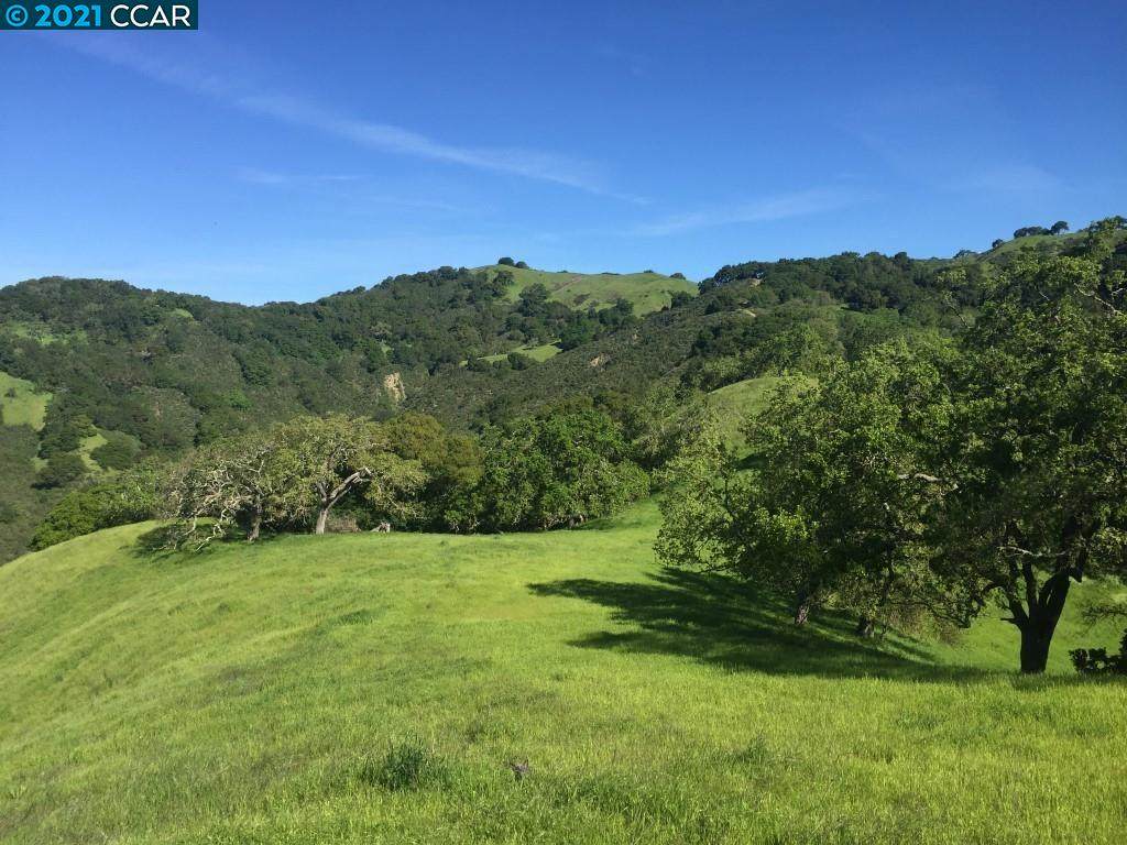 1240 Monticello Road - Photo 1