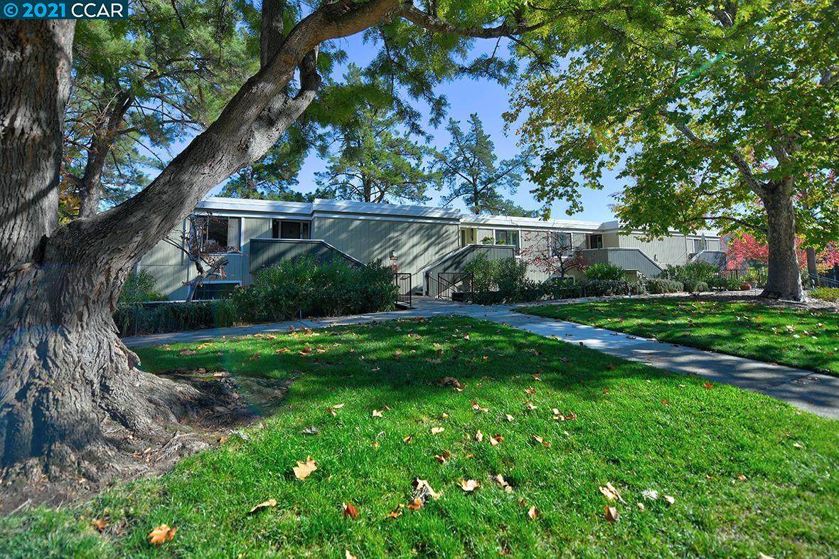 1300 Running Springs Rd 4 - Photo 1