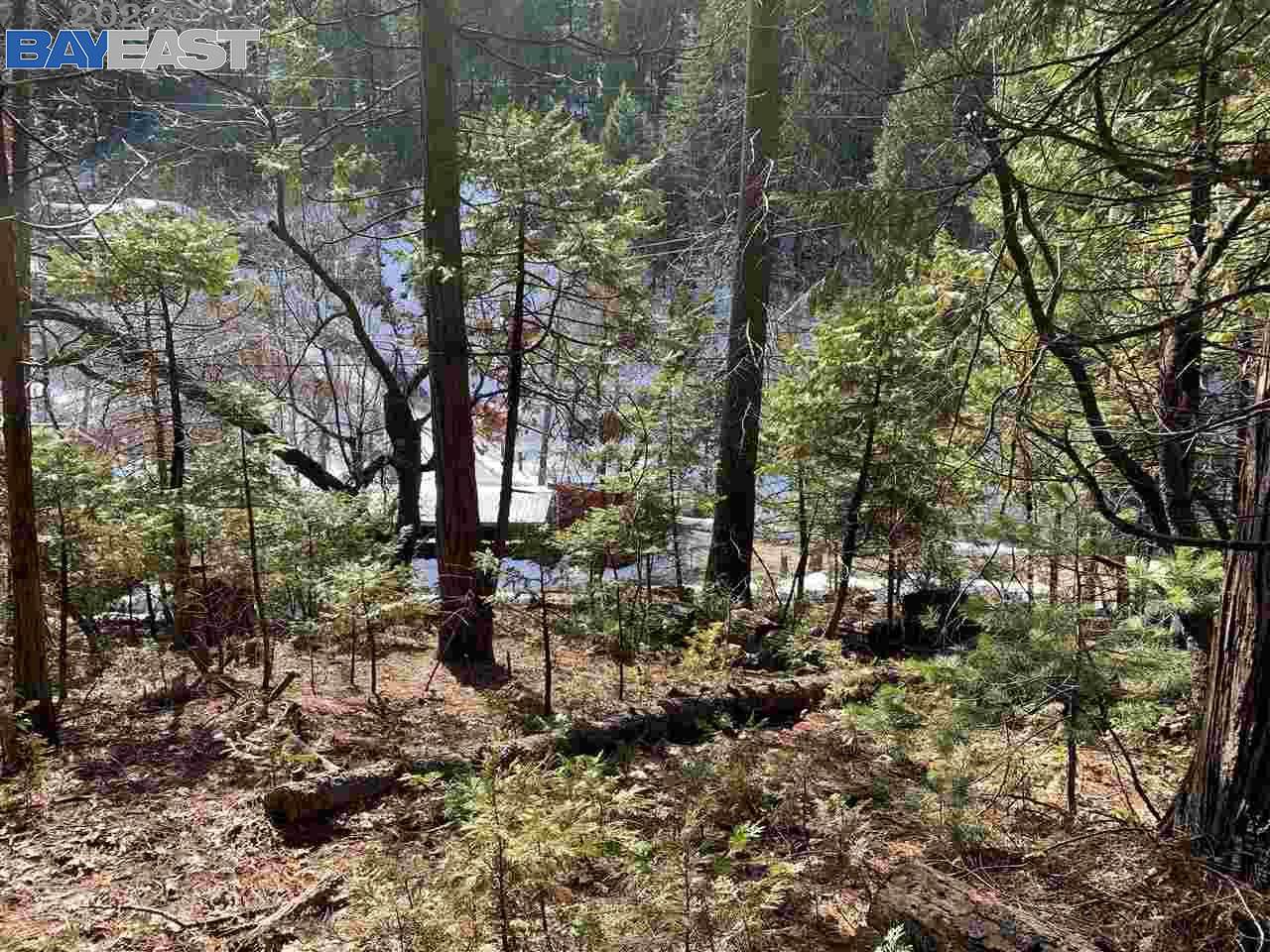 165XX Brookside Drive - Photo 1