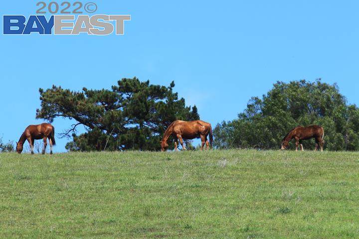 35116 King Ct - Photo 1
