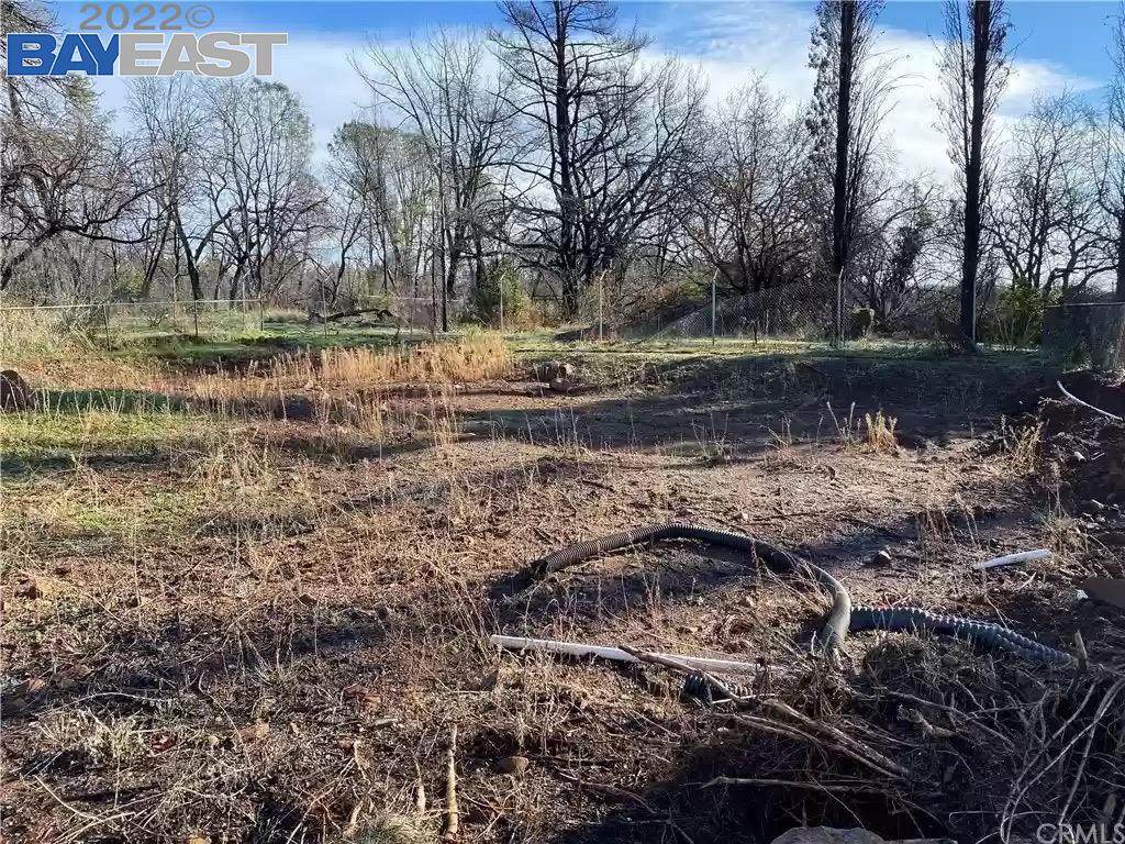 214 Berry Creek Dr - Photo 1