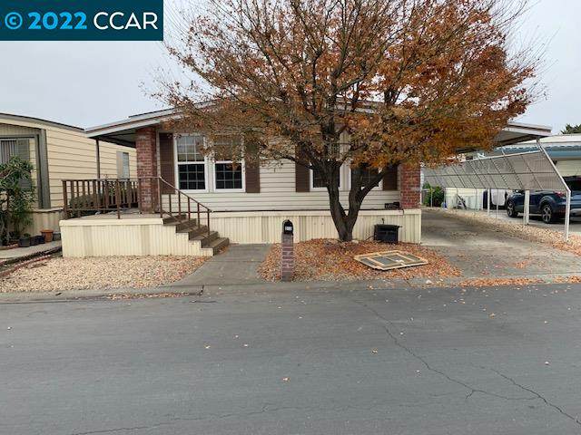 313 Avenida Flores 35 - Photo 1