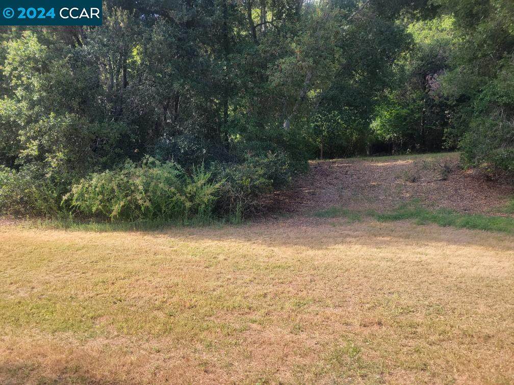 2900 Lomitas - Photo 1