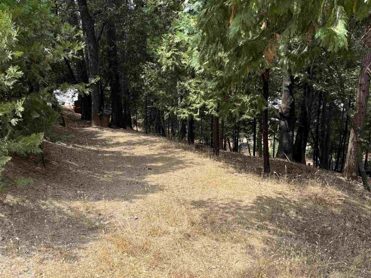 17211 Nile River - Photo 1