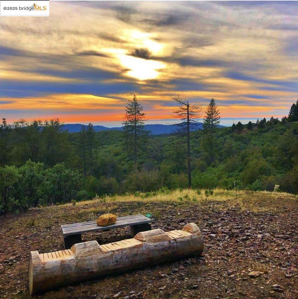 19751 Incense Cedar Trail - Photo 1