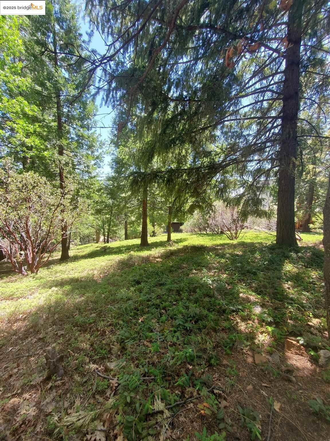 20922 Muheli - Photo 1