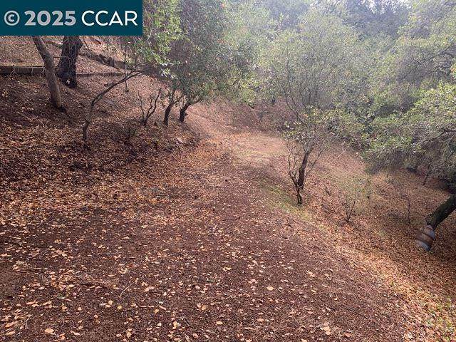 Mountain View Ave - Photo 1