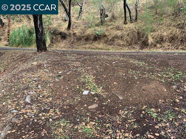 Mountain View Ave - Photo 1