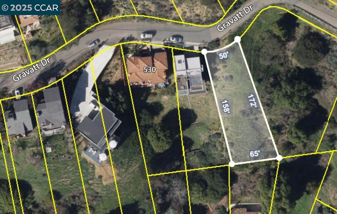 558 Gravatt Dr. - Photo 1