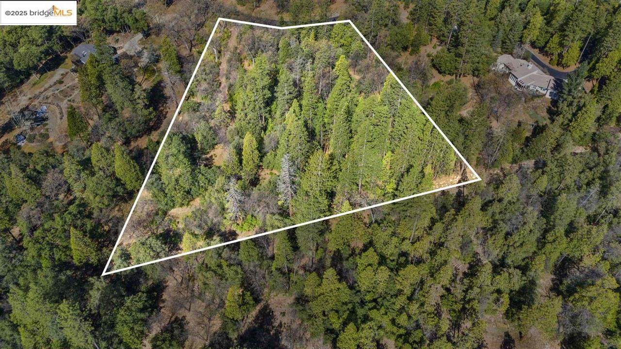 23282 Comstock Ranch - Photo 1