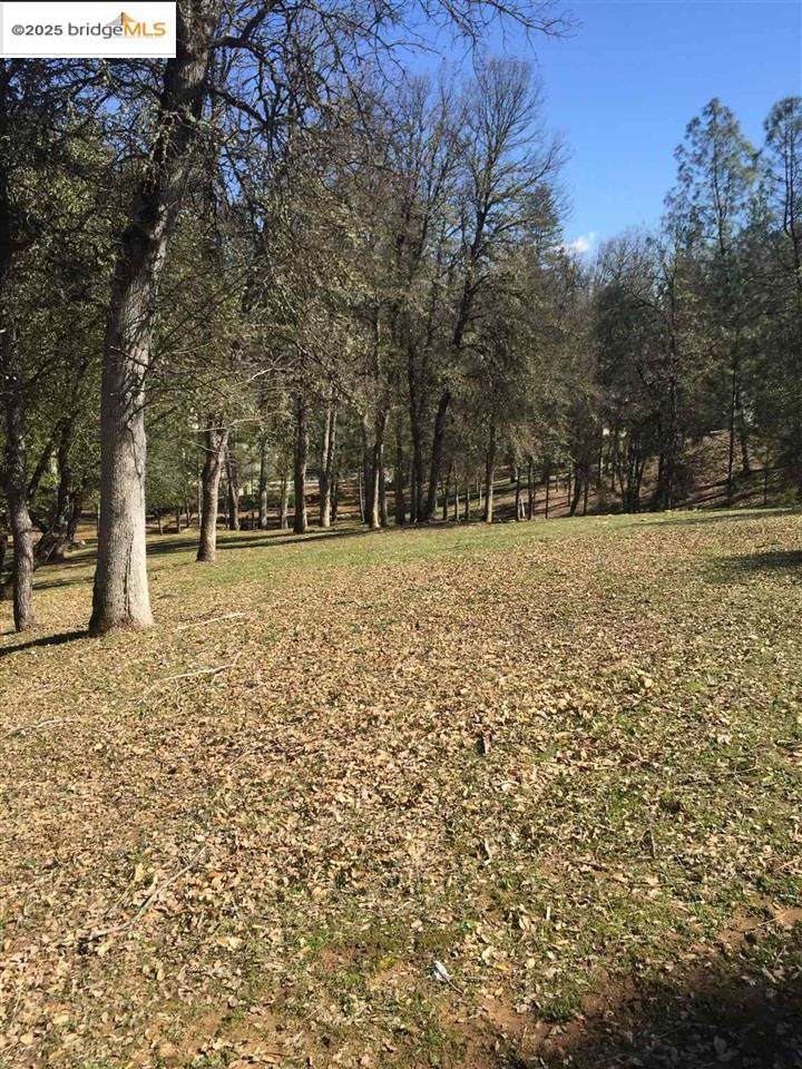 20980 Christopher Circle - Photo 1