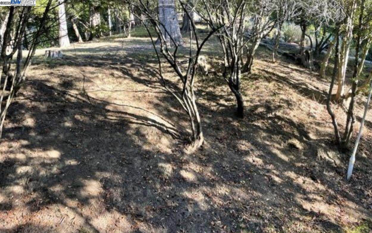 6690 Gunn Dr - Photo 1